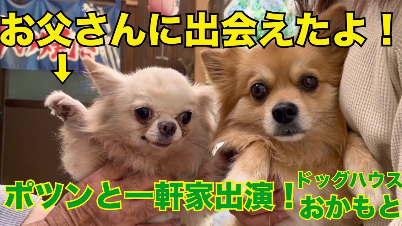 「ポツンと一軒家」出演！「ドッグハウスおかもと」でお父さん🐶と感動の対面🥺