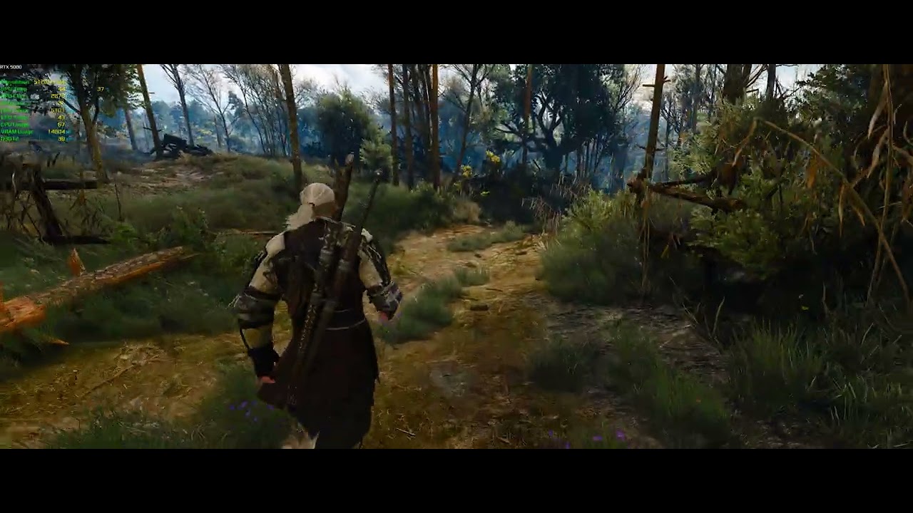 The Witcher 3 problemas de fps