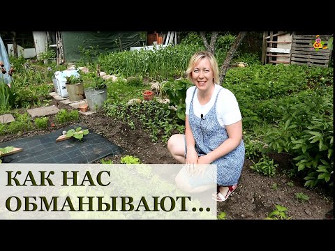 Нас обманывают в супермаркетах! / Руккола или двурядник?