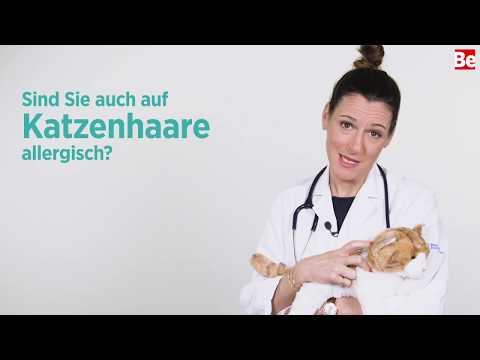 Video: Tipps Zur Unterstützung Von Gästen Mit Hundeallergien - Tipps Zur Unterstützung Von Gästen Mit Katzenallergien