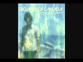 Boards of Canada - Chromakey Dreamcoat