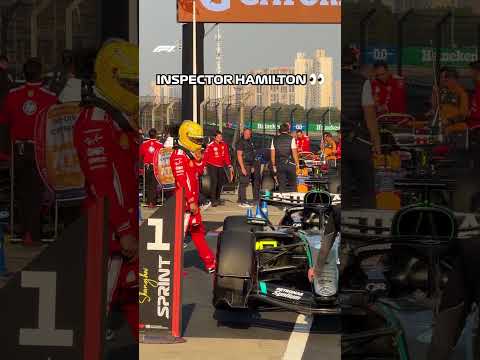 Inspector Hamilton 🧐