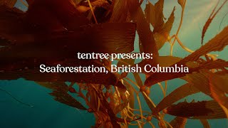 tentree presents: Seaforestation