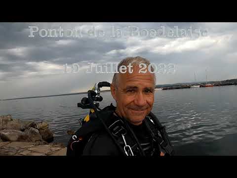 Etang de Thau - Plongée au Ponton de la Bordelaise