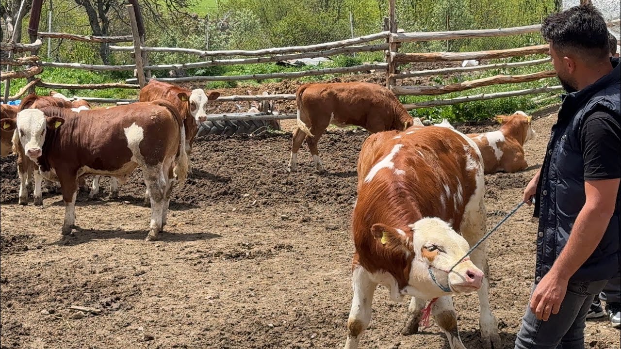 AKLINA GELEN FİYATİ İSTİYOR