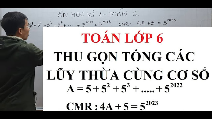 Câu hỏi ôn tập môn toán lớp 6 năm 2024