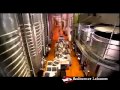 Wine Renaissance in Lebanon by CNN