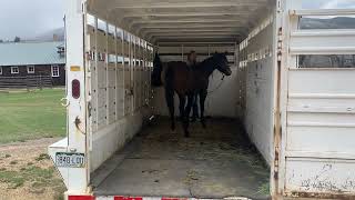 Bonnie Trailer Loading