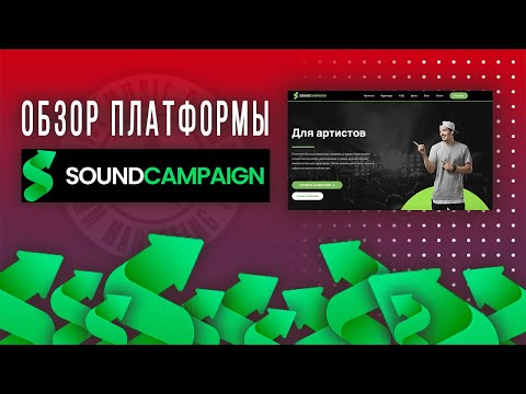 Как попасть в плейлисты на Spotify? Обзор платформы Sound Campaign (2021)