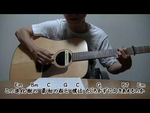 『やすらぎの刻～道』主題歌 中島みゆき-進化樹 ギターコード