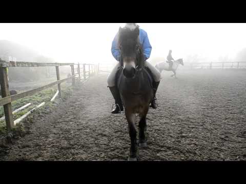 Exmoor Pony Riding - Laura Chilton