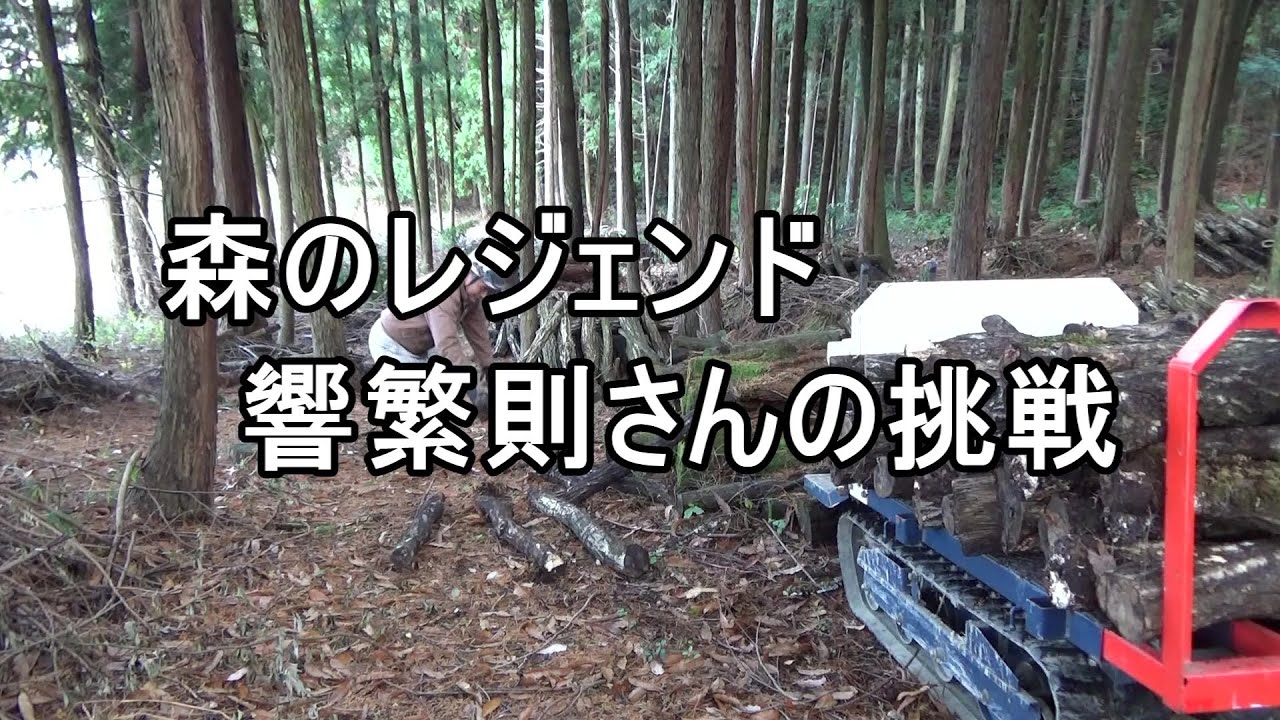 森のレジェンド 響繁則さんの挑戦 【原木椎茸栽培】