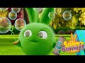 SUNNY BUNNIES - BUBBLE PARTY | Sevimli Karikatürler | Çocuklar İçin Komik Karikatürler