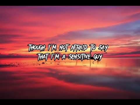 Everyday Normal Guy 2- Jon Lajoie(Lyrics)