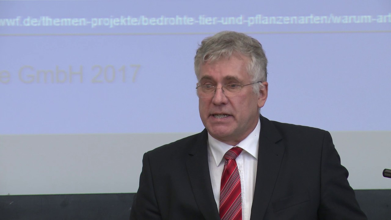 Energiepolitik im Konzeptnebel? Klaus Ermecke, KE Research Teil 2 - YouTube