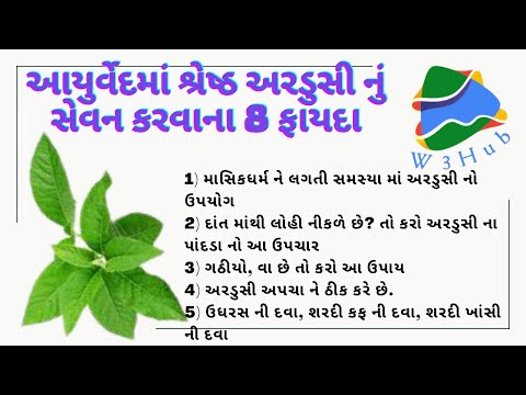 અરડૂસીનાં ફાયદા - Ardushi na Fayda - Benefits of Jasticia Adhatoda - Vasaka ke fayde - Malabar nut