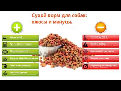 Сухой корм для собак: плюсы и минусы.