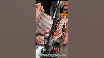 Best Innovation Meat Cutting Machine: How to Manual Bone Cutting System Work