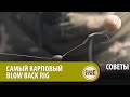 САМЫЙ трофейный КАРПОВЫЙ поводок? Учимся вязать КАРПОВЫЙ монтаж BLOW BACK RIG! СОВЕТЫ