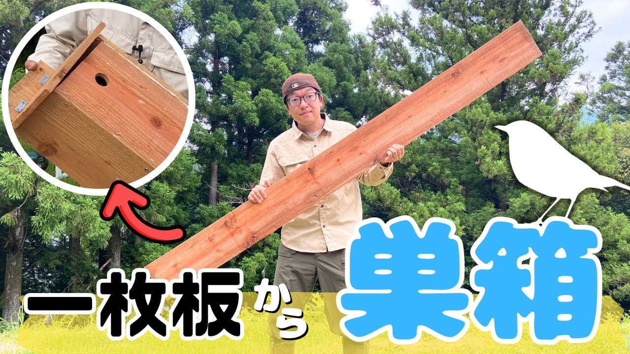 たった一枚の板から鳥の巣箱を作る！