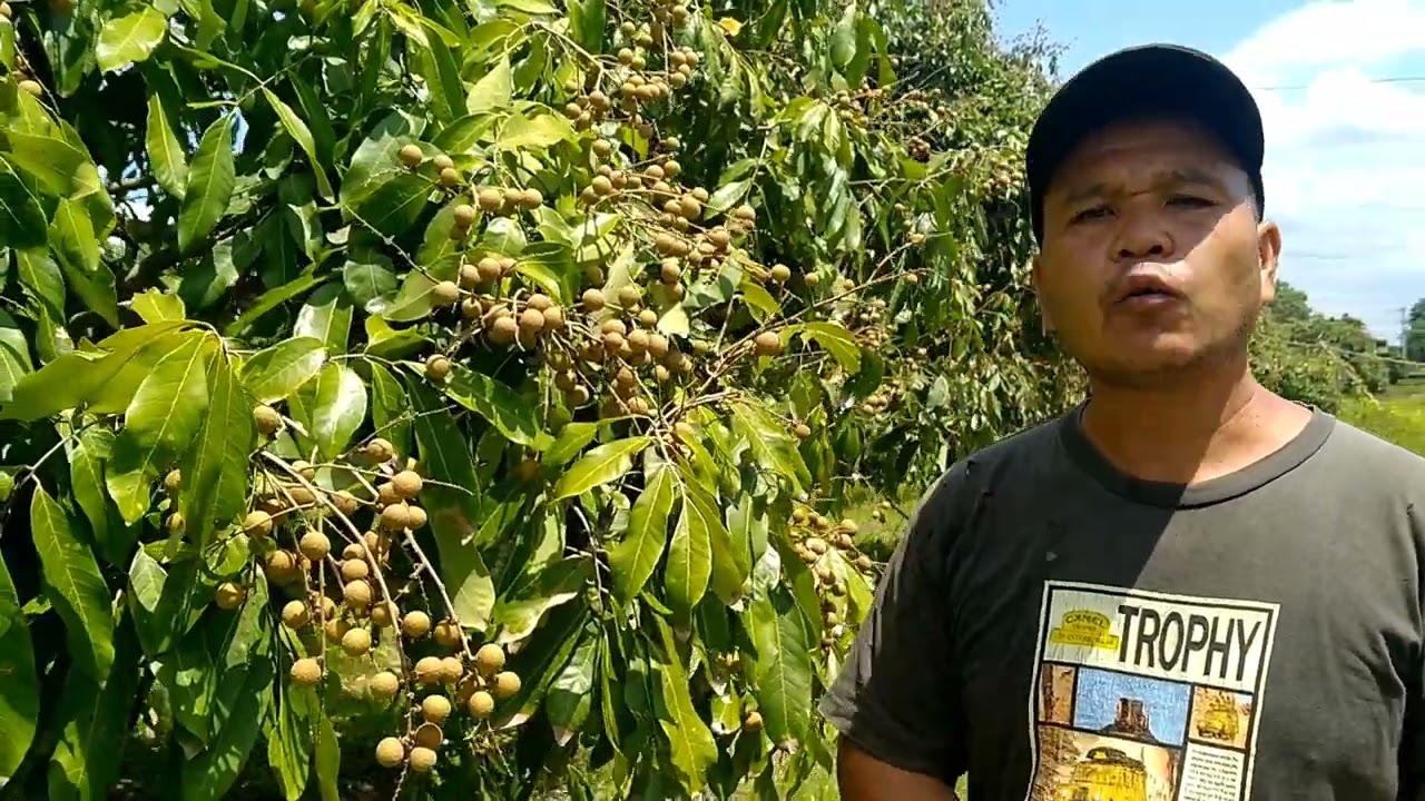 ถึงเวลาเปลี่ยนสูตรปุ๋ยแล้ว