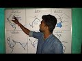 GULF//BAY//VALLEY//PENINSULA//STRAIT// ISTHMUS//.#geography #map #ssc
