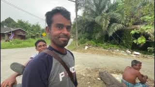 মালয়েশিয়ায় 'পাম বাগান শ্রমিকদের' বাজার - Palm labourer in Malaysia