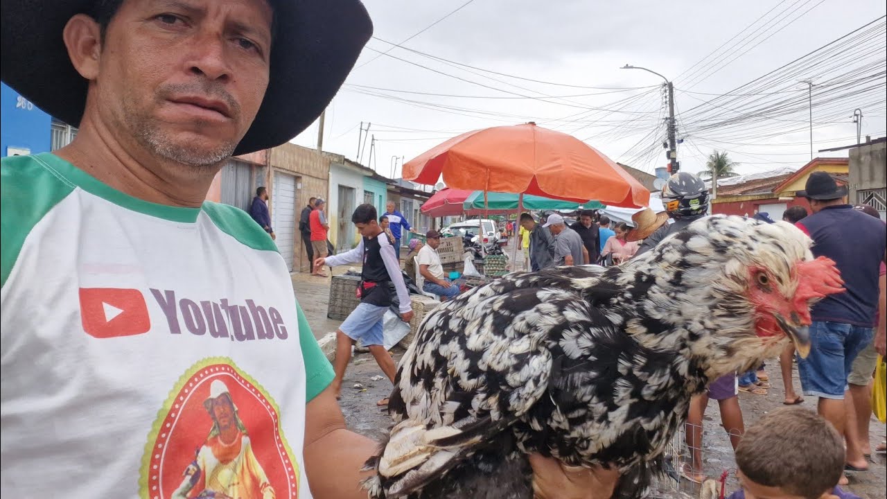 VANIO NA FEIRA DA FUMAGEIRA EM ARAPIRACA AL #NORDESTE 