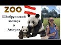 Шёнбруннский зоопарк в Австрии. Путешествие по Европе. Вена 2018.