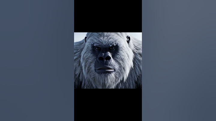 Yeti's Breakfast Time #yeti