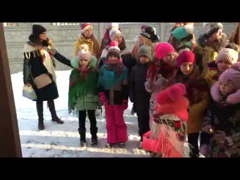 Кольорові парасольки 