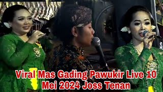 Viral Mas Gading Pawukir Terbaru Live 10 Mei 2024 Joss Tenan