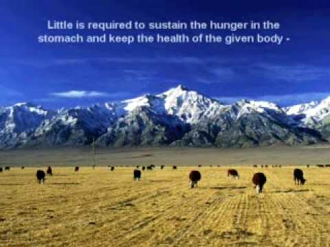 Sai Divine Inspirations 6