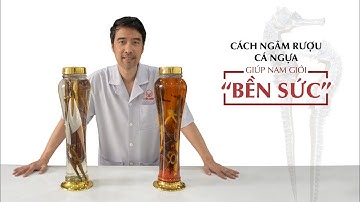 Cách ngâm rượu cá ngựa giúp nam giới "Bền Sức"