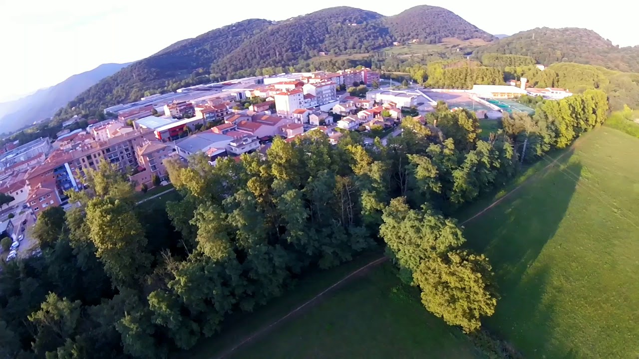 FuriBee Bison 3" GoPro mount