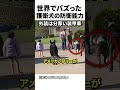 世界でバズった護衛犬の防衛能力