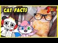 Combo Learns Cat Facts with Alpha Lexa ! Educational Video