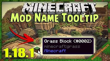 Mod Name Tooltip Mod 1.18.1 & How To Install for Minecraft