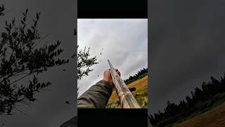 This short captures the thrill of real hunting action in nature — quick reflexes, focus, 🔥