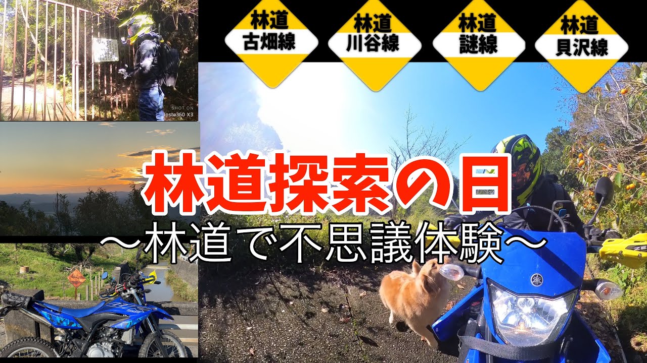 【林道不思議体験】川が林道⁈ 有名林道に接続⁈ 犬に襲われるw 千葉県林道ツーリング