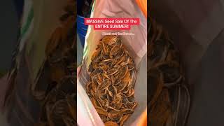 The BEST flavored sunflower seeds you can get!