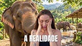 VIVI COM ELEFANTES NA TAILÂNDIA (ninguém te prepara pra isso) | Ep.19 🇹🇭