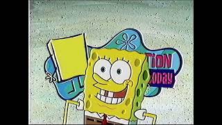 A Special Surprise For You Guys