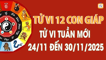 Tử vi tuần mới 12 con giáp từ  24/11 đến 30/11/2025 mới nhất, đầy đủ nhất | TV24h