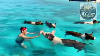 Caribbean Paradise 🌴 | Jamaica, Aruba & Bahamas – The Most Beautiful Beaches in the Caribbean