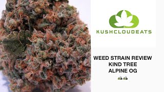 WEED STRAIN REVIEW‼️ -ALPINE OG🗻🗻