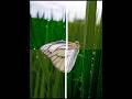 How To Macro Mobile Photography Editing Video #shortvideo #shorts
