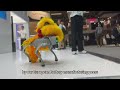 【Self-Produced Interviews】The Munich Motor Show in Germany(3)