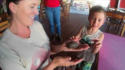 Searching for an Island Treat! - Lazy Gecko Sailing VLOG 159