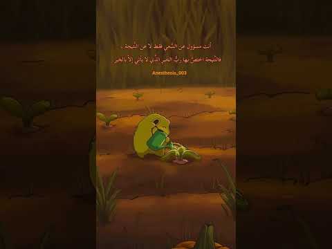 انت مسؤول فقط عن السعي لا عن النتيجة